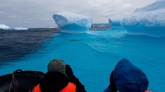 Mikroplastiku na Antarktydzie jest więcej niż sądzono