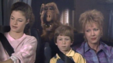 Nie żyje Benji Gregory – znany z roli serialu „Alf”