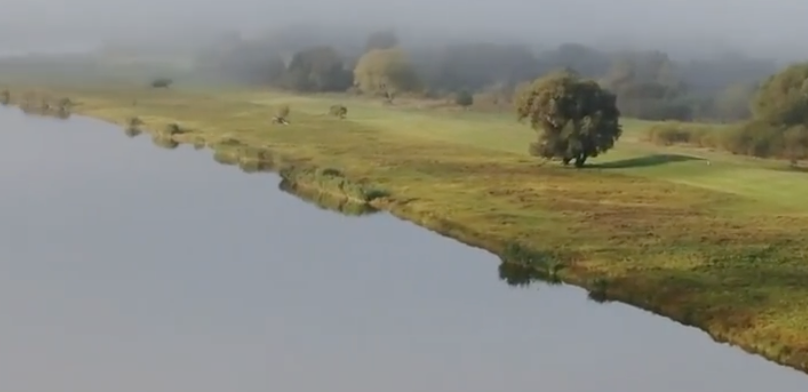 Niemcy rozczarowane wetem prezydenta ws. Odry