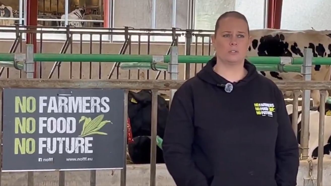 hodowca krów z Danii