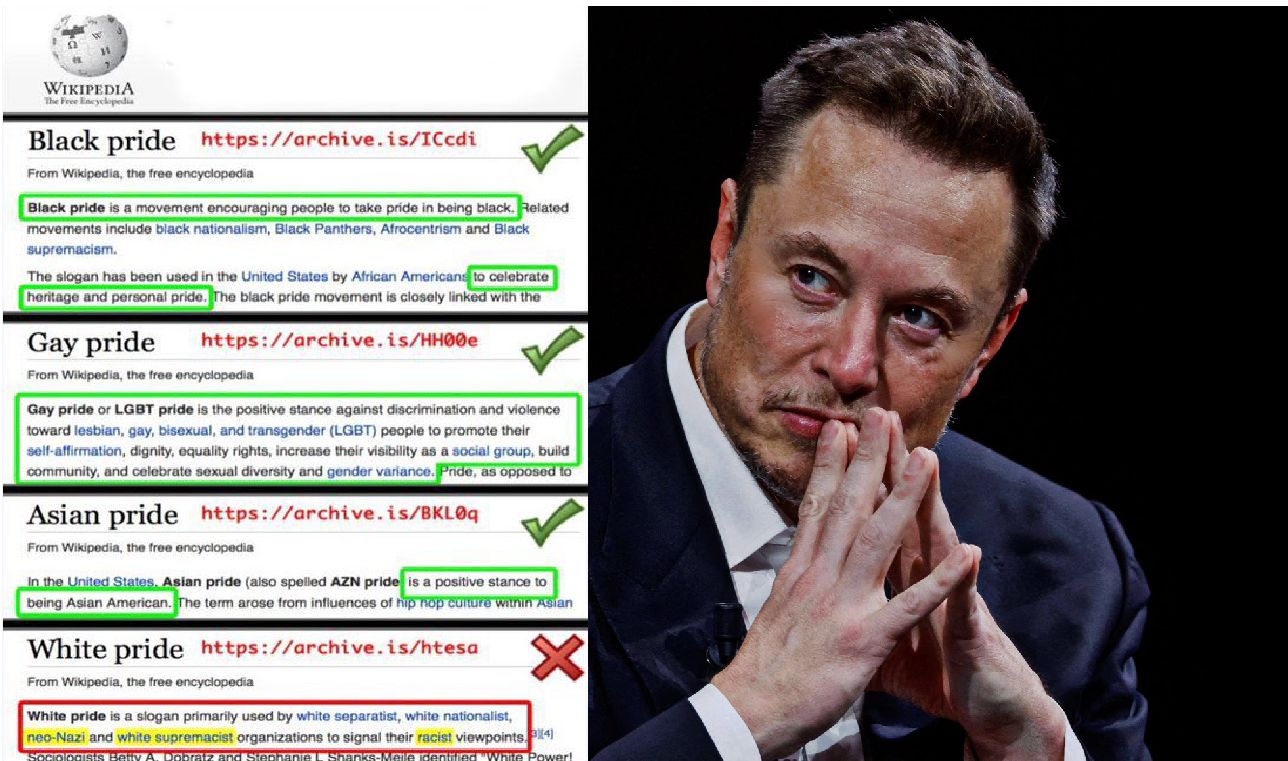 Wikipedia promuje rasizm