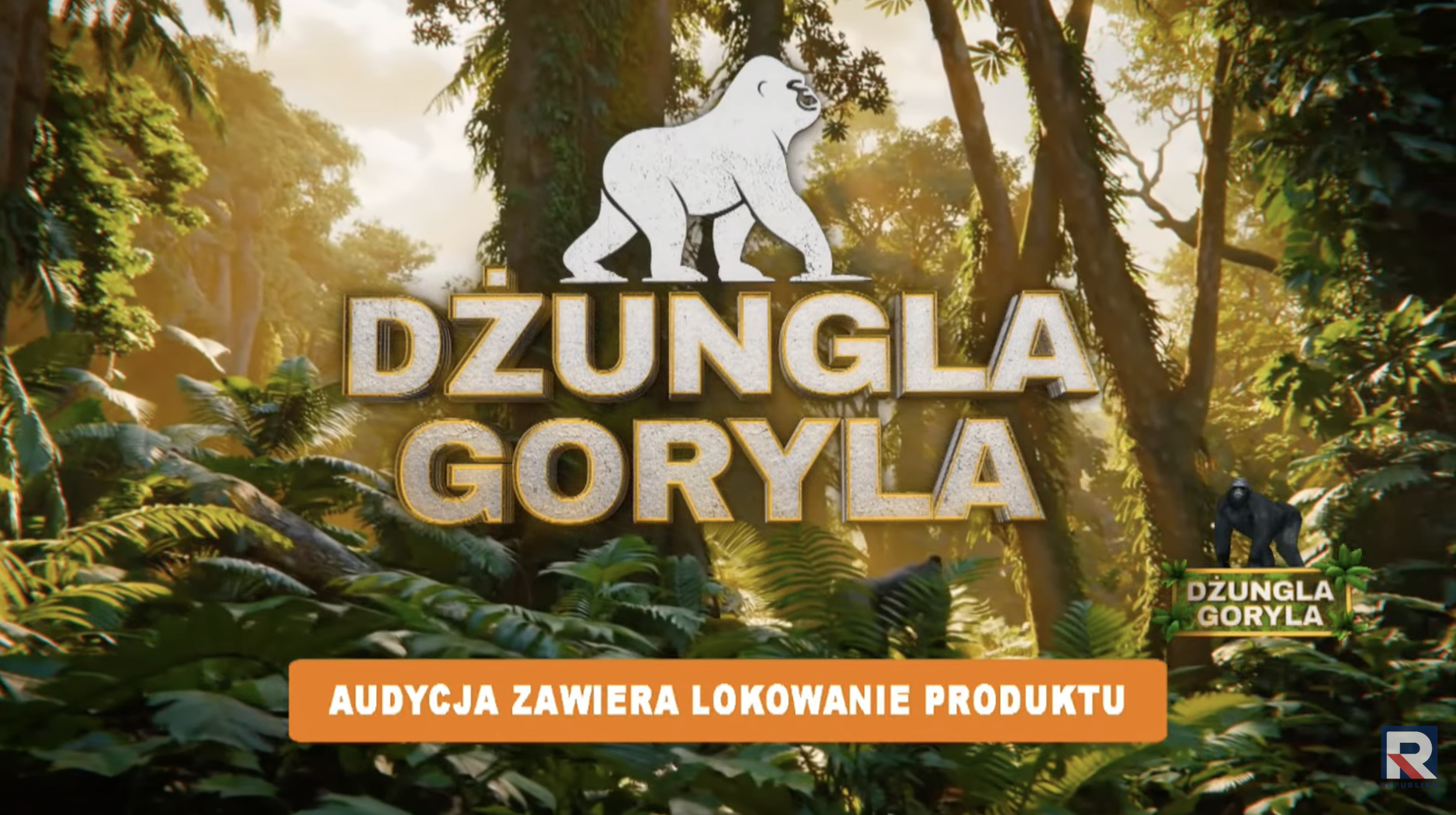 Nowa platforma Goryla.pl rośnie w siłę