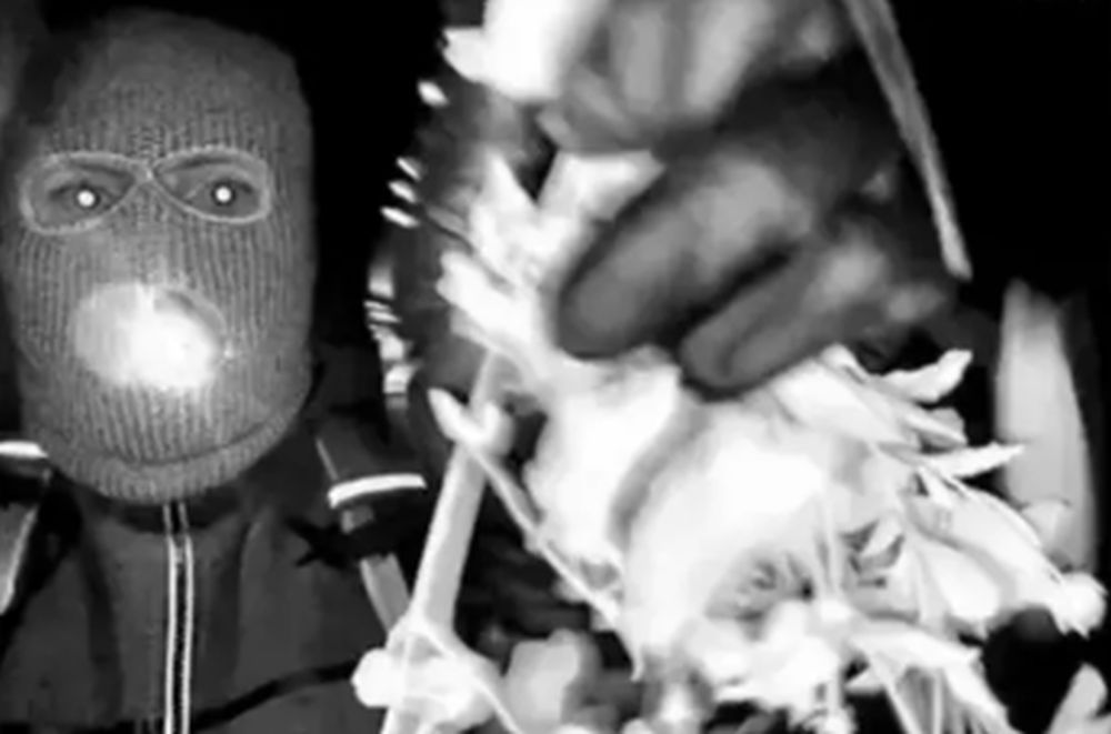 nagranie z dzwonka domu Nancy Guthrie