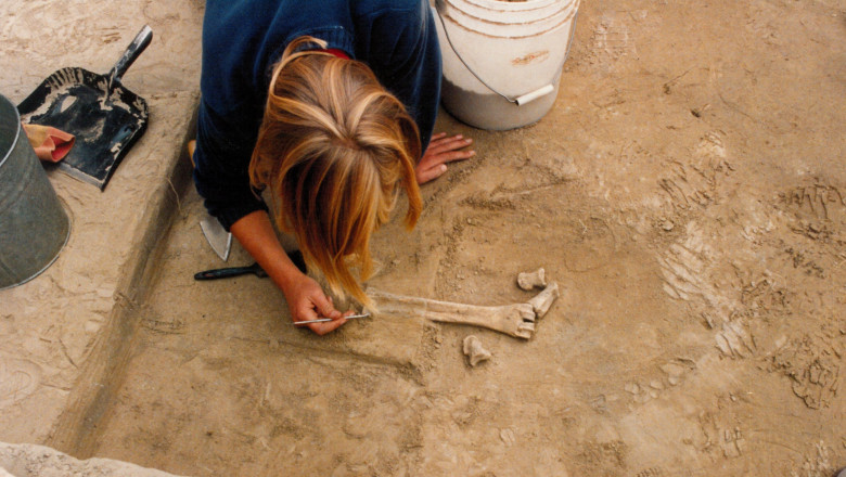 zdjęcie miejsca badań