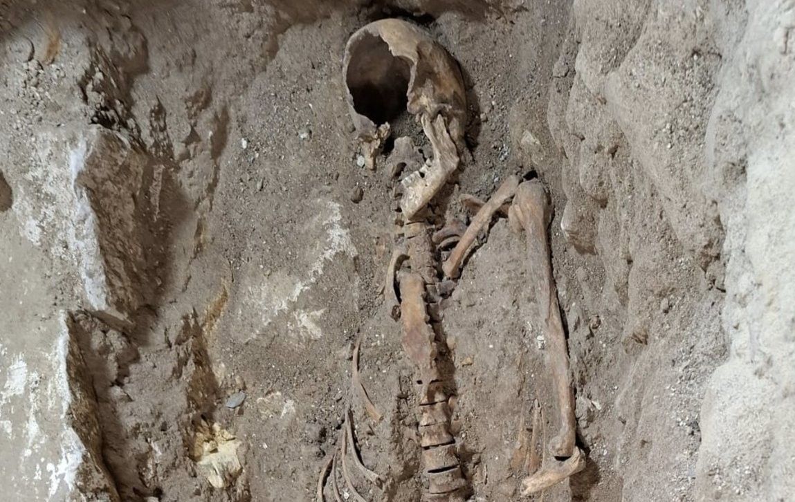 możliwe, że Szkielet D’Artagnana