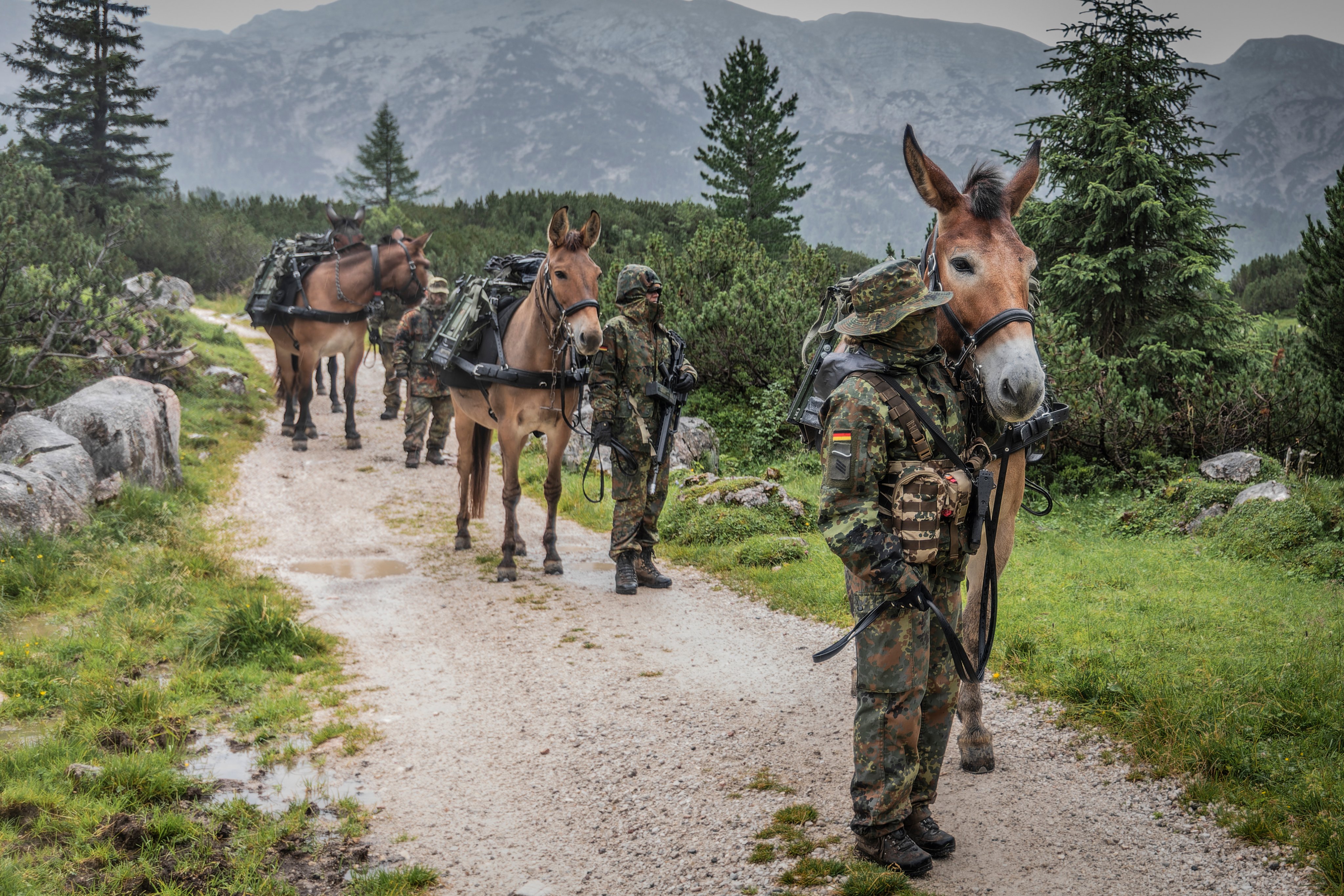 Bundeswehra