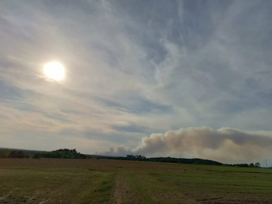 Pożar lasu w pobliżu Osuchów widziany z Huty Rozanieckiej