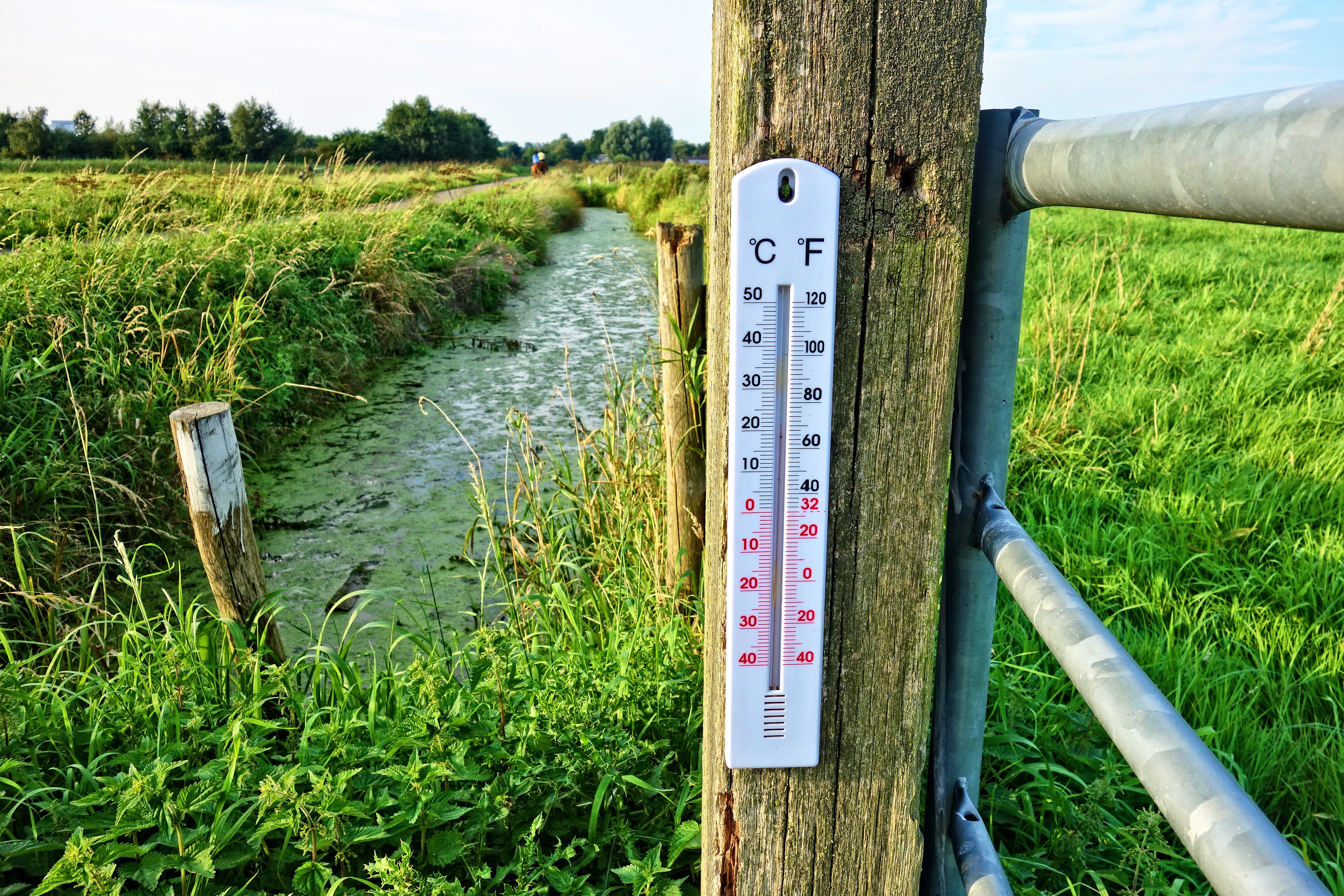 ochłodzenie klimatu