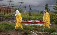 Ebola