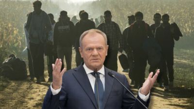 tusk, migranci, po