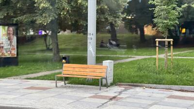 Szczecin - imigranci w parku