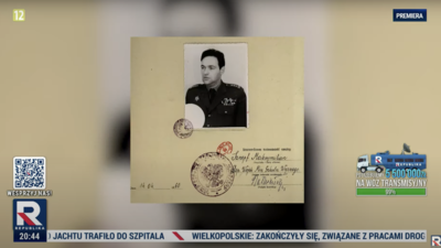 reportaż, gmyz