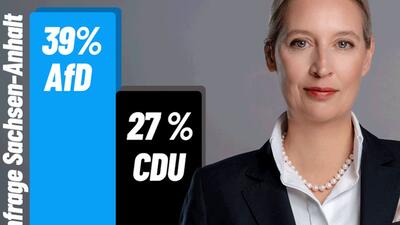 sondaż: AfD nokautuje