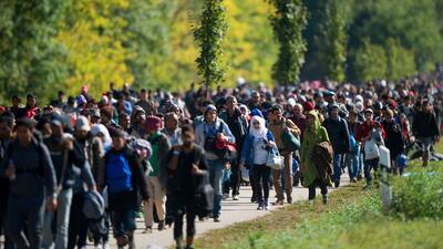 imigranci/zdjęcie poglądowe