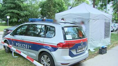 policja austriacka