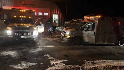 atak grizzly w Bella Coola