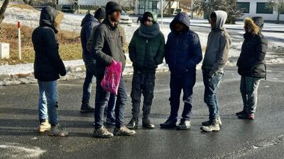 bezrobotni imigranci w Austrii