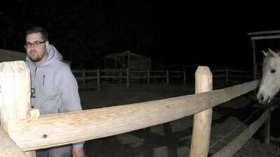 złapany na zoofilii przez właścicielkę