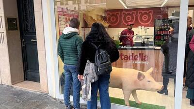 plastikowa świnia w sklepie w Padwie