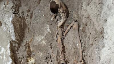 możliwe, że Szkielet D’Artagnana