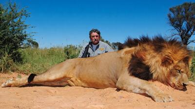 słonie stratowały miliardera