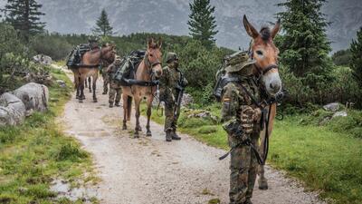 Bundeswehra
