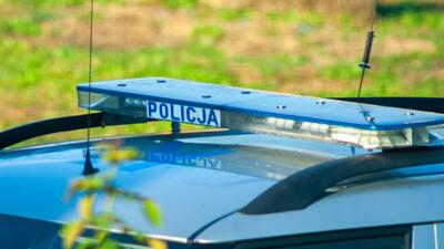 policja