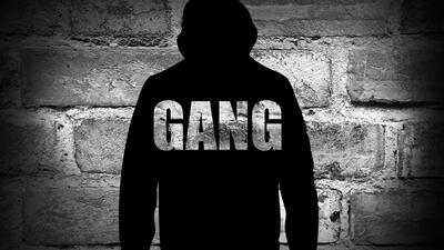 gang