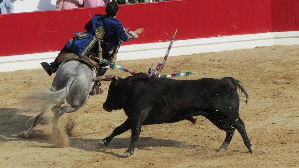 Corrida bez pieniędzy