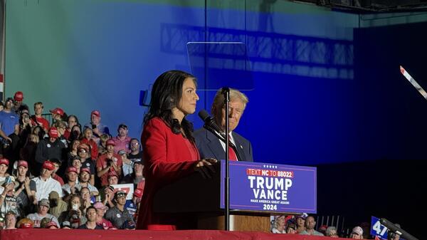 Tulsi Gabbard