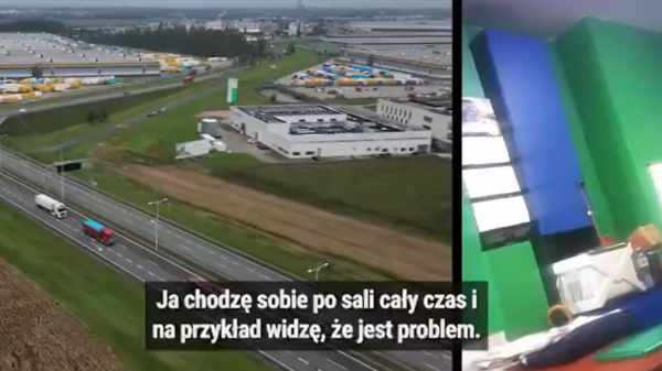 Fragment z Ściśle Jawne Republika