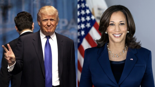 donald trump, kamala harris