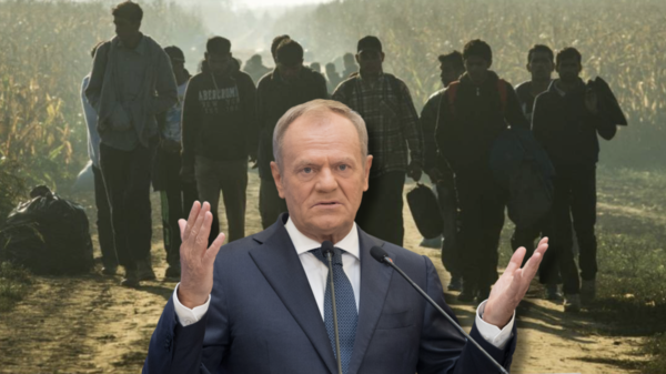 tusk, migranci, po