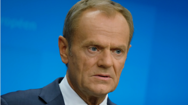 tusk