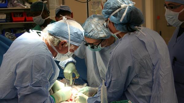 Transplantacja