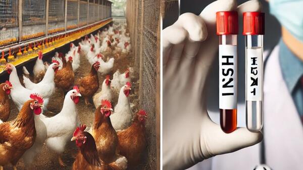 H5N1