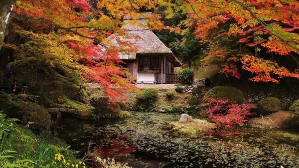 Japonia