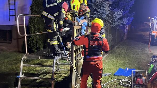 Kibic poszedł na „szybkie” zakupy w przerwie meczu. Skończył nabity na ogrodzenie