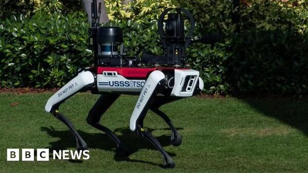 Pies robot Trump