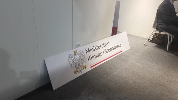 cop29, polska