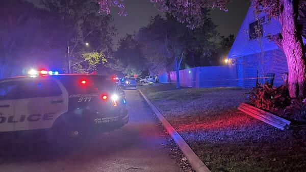 Policja w Houston