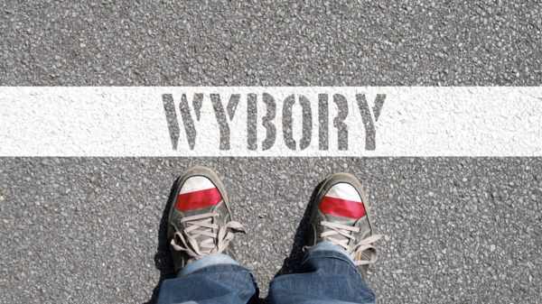 wybory, wyborcy