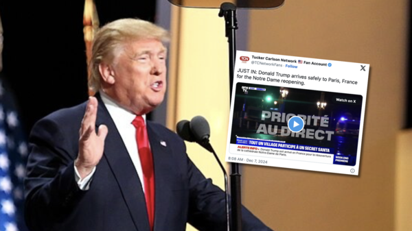 trump, usa, francja