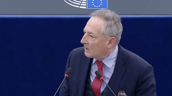 sienkiewicz, parlament europejski