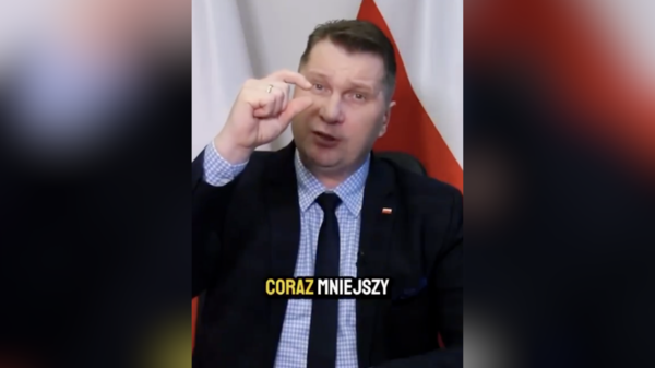 czarnek, pis