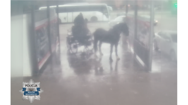 Policja bada sprawę mycia konia na myjni