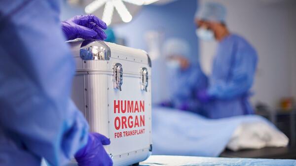 transplantacja