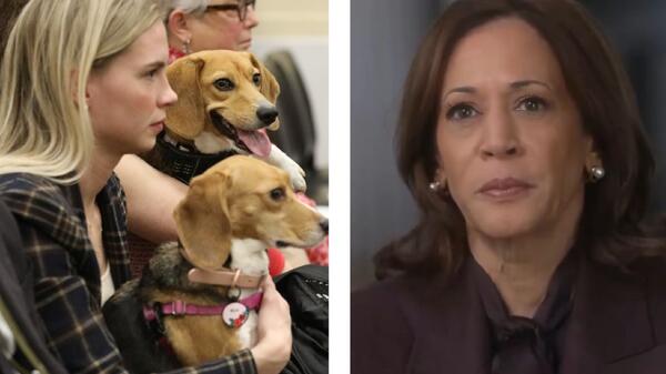 Kamala Harris
