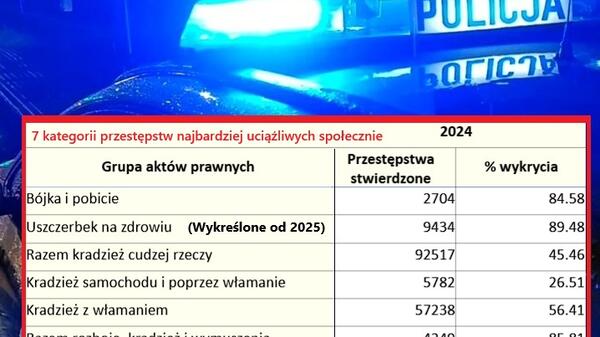 Służby w Akcji, Portal X, kategorie przestępstw