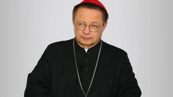 Grzegorz Ryś, Kardynał